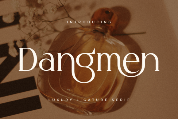 Dangmen Font for Elegant Web Design