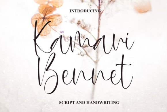 Kamari Bennett Font: Elevate Your Campaign with Elegance